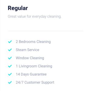 Regular Cleaning Plan